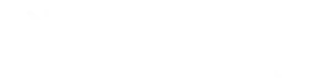 Expert laser center logo